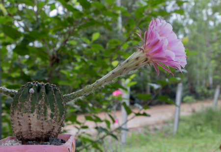Colored Bottom of the pen on white backgroundの写真素材