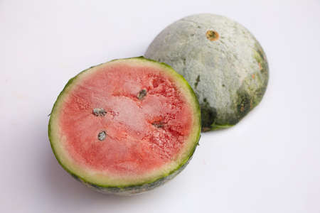 Colored Bottom of the pen on white backgroundの写真素材