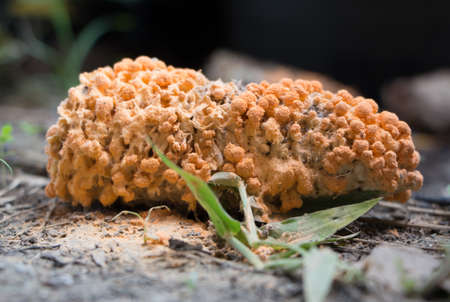 Colored Bottom of the pen on white backgroundの写真素材