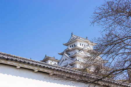 Himeji, Japan - March 11, 2018: Himeji castle during sakura blossom time are going to bloom in Hyogo prefecture, Japan.のeditorial素材