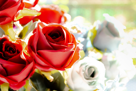 Beautiful rose of artificial flowers, Artificial Pastel rose flowersの写真素材