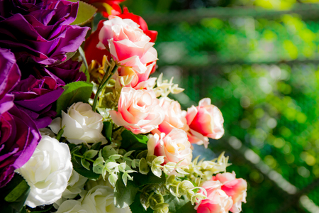 Beautiful rose of artificial flowers, Artificial Pastel rose flowersの写真素材