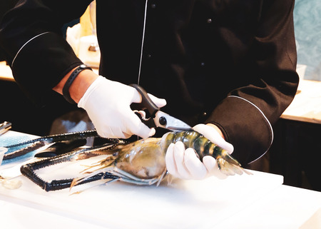 chef cooking seafood, Hand cutting raw black tiger prawnの写真素材