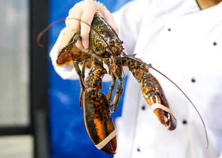 fresh lobster at the seafood marketの写真素材