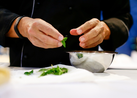 Chef preparing food, meal, in the kitchen, chef cooking, Chef decorating dish, closeupの写真素材