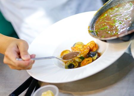 Chef preparing food, meal, in the kitchen, chef cooking, Chef decorating dish, closeupの写真素材