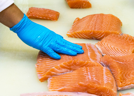 chef slicing raw fresh salmon, Chef preparing a fresh salmon on a cutting boardの写真素材