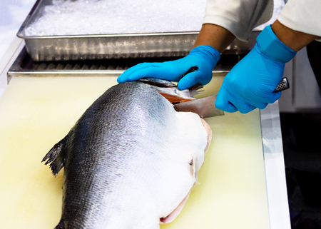 chef slicing raw fresh salmon, Chef preparing a fresh salmon on a cutting boardの写真素材