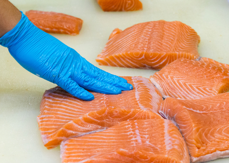 chef slicing raw fresh salmon, Chef preparing a fresh salmon on a cutting boardの写真素材