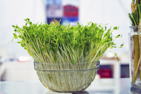 fresh snow pea sprouts and Green peas in wooden bowの写真素材