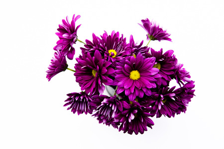 Artificial flower bouquet decoration, copy space background