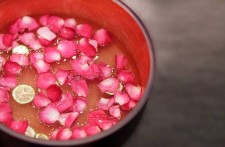 Beautiful pink roses Spa flower floatingの写真素材