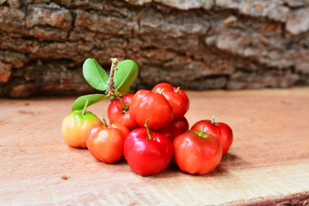 wild cherriesの写真素材