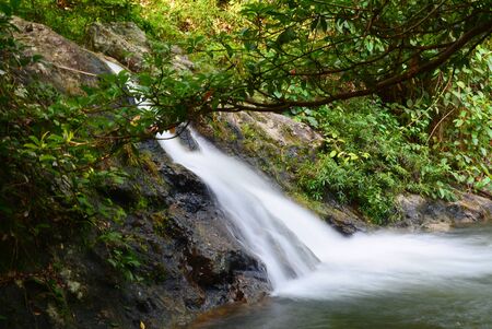 Waterfalls in jungle