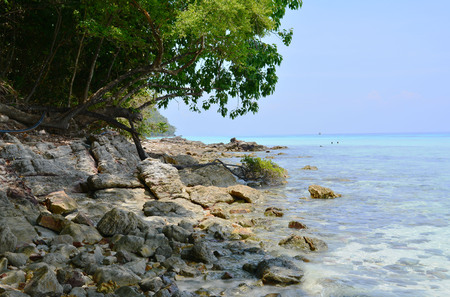 Sea sand beach in thailandの写真素材