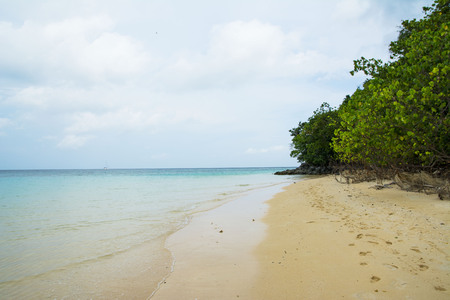 Sea sand beach in thailandの写真素材