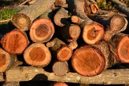 Natural wooden background ,firewoodの写真素材