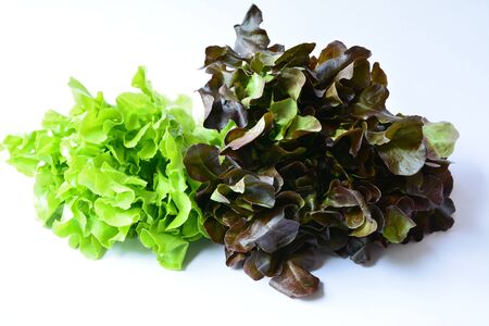 vegetables for making a salad on white backgroundの写真素材