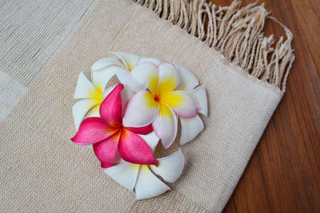 plumeria  backgroundの写真素材