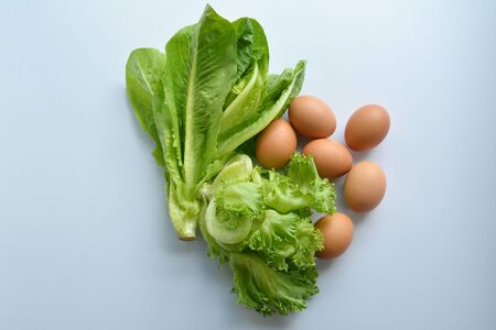 Green leafy vegetables and egg on White backgroundの写真素材