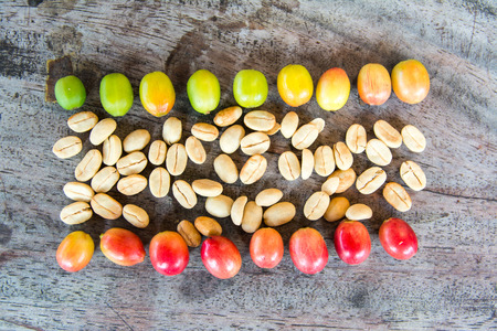 Coffee cherry beans with coffee bean on wooden background