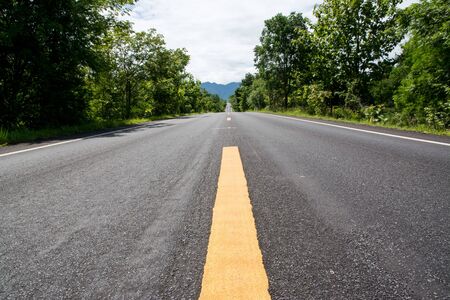 Asphalt road and Green forest