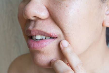 Organic Macadamia nut in handの写真素材