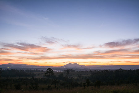 The sunrises with fog on the meadows and forests.の写真素材