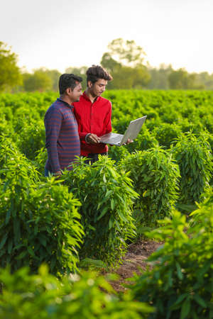 young agronomist analyzing field with farmer, indian farmingの写真素材