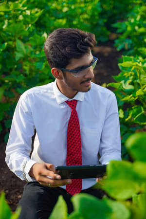 young handsome agronomist inspecting cotton field with tabletの写真素材