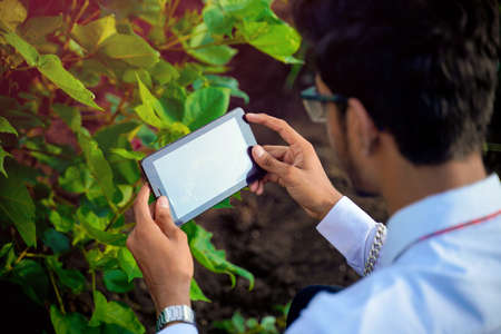 Close up of agronomist hands holding and working on tablet at fieldの写真素材
