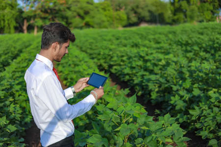 Young handsome agronomist holds tablet touch pad computer in the cotton field and examining crops