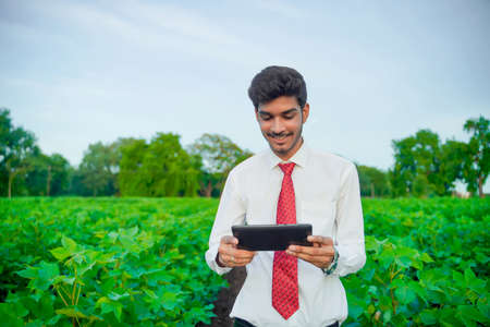 young handsome agronomist inspecting cotton field with tabletの写真素材