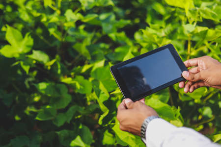 Close up of agronomist hands holding and working on tablet at fieldの写真素材