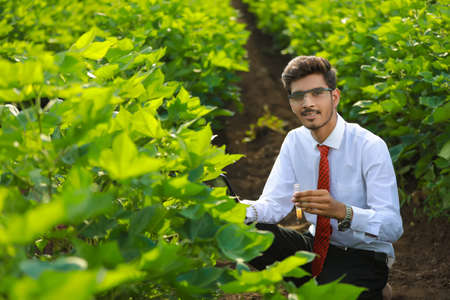 young indian handsome agronomist with test tube and tabletの写真素材