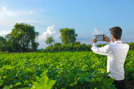 Young handsome agronomist holds tablet touch pad computer in the cotton field and examining cropsの写真素材