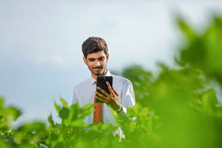 young handsome agronomist inspecting cotton field with tabletの写真素材