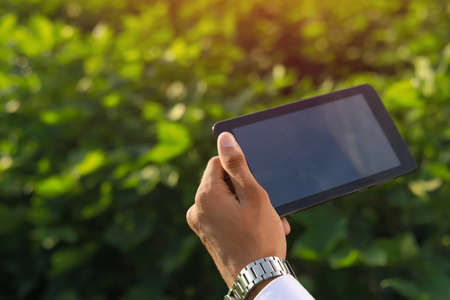 Close up of agronomist hands holding and working on tablet at field
