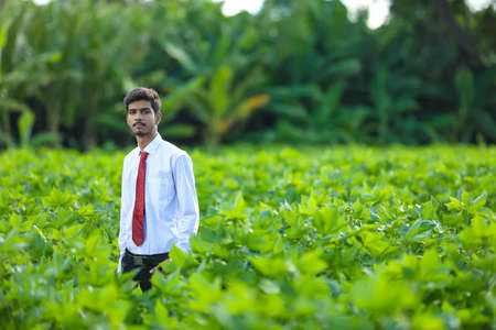 young indian agronomist at fieldの写真素材