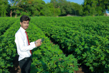 young handsome agronomist inspecting cotton field with tablet