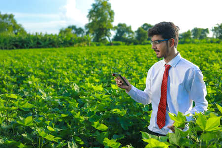 young handsome agronomist inspecting cotton field with tabletの写真素材
