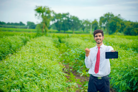 agronomist at green Cotton field and showing tab screenの写真素材