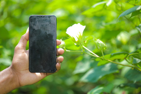 Young man Holding smartphone in hand at cotton field with copy space