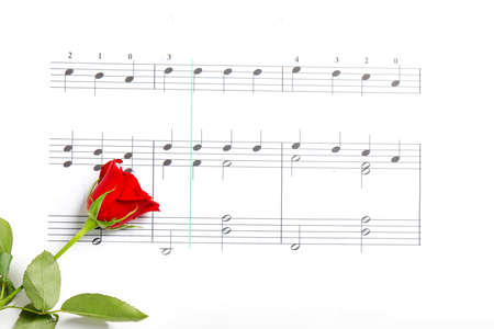 Little heart and Red rose with copy space frame. Valentine day concept