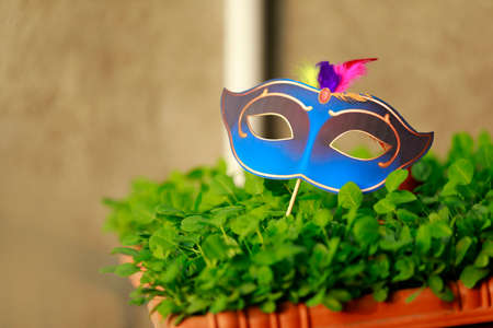 Concept of carnival festival : Multi color carnival mask and black mustacheの写真素材