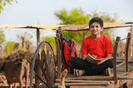 little boy seating on bull cart and studying