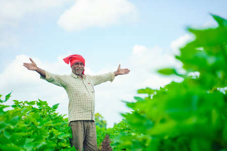 young indian farmer spread arms in cotton fieldの写真素材