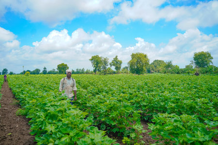 young indian farmer spraying at field