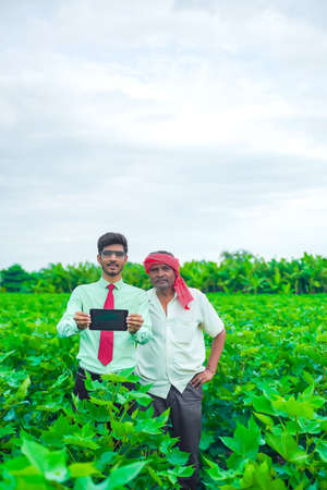 Young agronimist and farmer showing tablet in cotton fieldの写真素材