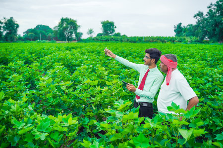 young handsome agronomist and farmer inspecting cotton field with tabletの写真素材